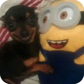 Telegram sticker 🫥 Personal trash