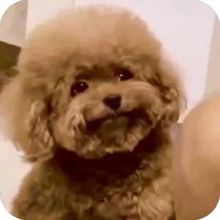 Telegram sticker 🫥 Personal trash