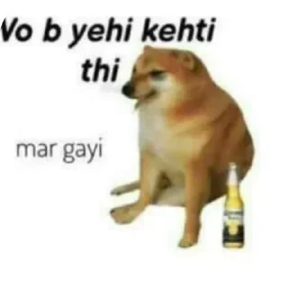 Telegram sticker 🐶 TAKI TAKI RUMBA : :: @fStikBot