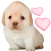 Sticker 🥰 doggies by @normtips
