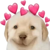 Sticker 🥰 doggies by @normtips