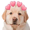 Sticker 😍 doggies by @normtips
