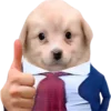 Sticker 👍 doggies by @normtips