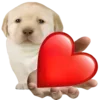 Sticker 😘 doggies by @normtips