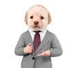 Sticker 🤑 doggies by @normtips