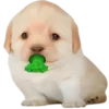 Sticker 🤢 doggies by @normtips