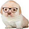 Sticker 🤓 doggies by @normtips