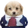 Sticker 😎 doggies by @normtips