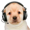 Sticker 🤔 doggies by @normtips