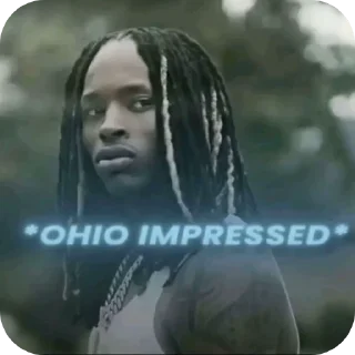Telegram sticker 🖼 ohio (@chocolatefudgecake_m)
