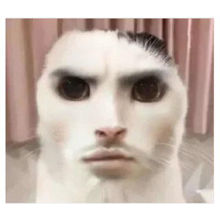 Video sticker 🫥 The creature 👽 😺 @totheflawles