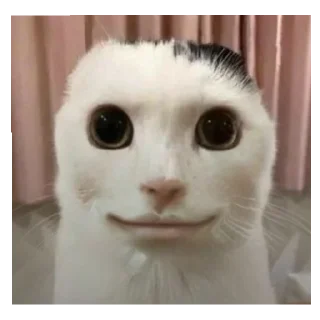 Telegram sticker 👍 The creature 👽 😺 @totheflawles