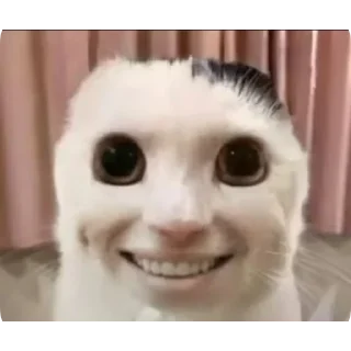 Telegram sticker 🙂 The creature 👽 😺 @totheflawles