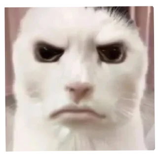 Telegram sticker 😠 The creature 👽 😺 @totheflawles