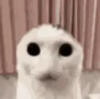 Sticker 😶 The creature 👽 😺 @totheflawles