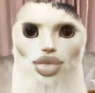 Telegram sticker 💞 The creature 👽 😺 @totheflawles