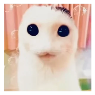 Telegram sticker 👍 The creature 👽 😺 @totheflawles