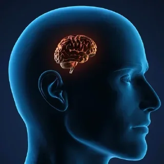 Video sticker 🫡 siklemiyom XD