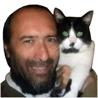 Telegram sticker 🐱 weitoking