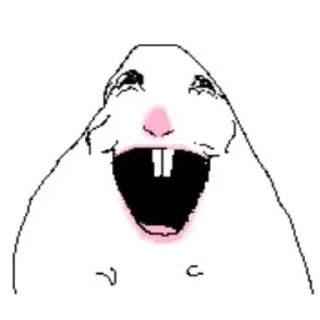 Video sticker 😃 хамстер