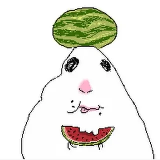 Telegram sticker 🥺 хамстер