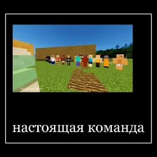 Video sticker 😍 Больше стиков тут: @stikery4