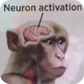 Video sticker 🤲 Gay