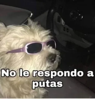 Телеграм стикер 😎 @itsbabygirll :: @fStikBot