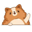 Video sticker 👋 Hamster Bernard