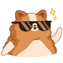 Video sticker 😎 Hamster Bernard
