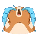 Video sticker 😭 Hamster Bernard