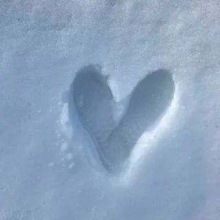 Telegram sticker 🌟 fuck your mom :: @fStikBot