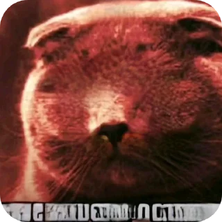 Telegram sticker 🖼 гэнгбэнг