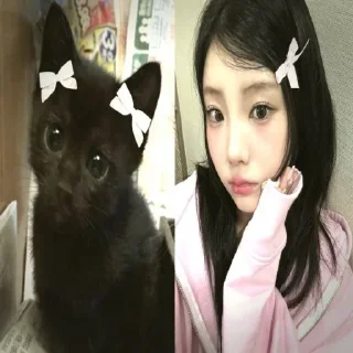 Telegram sticker 🐈‍⬛️ ‌  ‌ ‌ ‌ ‌ ‌ ‌ ‌magical @e3won ʼs dayfile