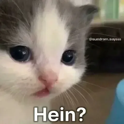 Телеграм стикер ✨ Sophia (@springshinez)