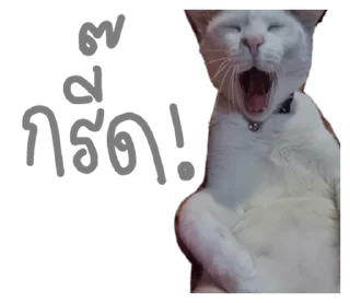 Telegram sticker ⭐ @Chertam_9602