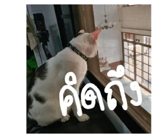 Telegram sticker ⭐ @Chertam_9602