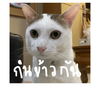 Telegram sticker ⭐ @Chertam_9602