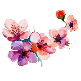 Telegram sticker 🌸 @wisdom_droplets 2 — @stckrRobot