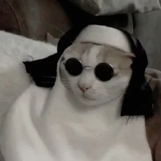 Телеграм стикер 😎 @ohyuliyaa— @stckrRobot