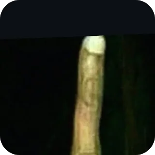 Video sticker 👍 Hello world