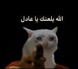 Video sticker 🙄 محد