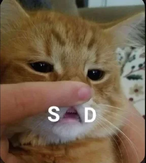 Telegram stiker 💔 محد