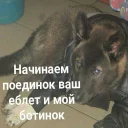Video sticker 👊 ультраржомба v.2