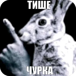 Video sticker 🫥 С любовью