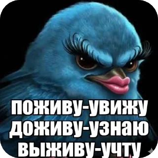 Video sticker 🫥 С любовью
