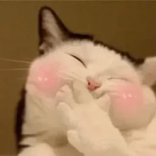 Video sticker 🤍 @patelkrish_99 2nd Pack