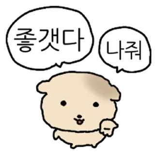 Video sticker ⭐ 찌글해요 황토강아디 @moe_sticker_bot