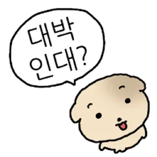 Telegram sticker ⭐ 찌글해요 황토강아디 @moe_sticker_bot