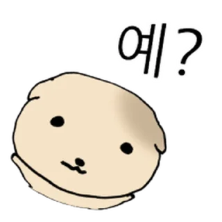 Video sticker ⭐ 찌글해요 황토강아디 @moe_sticker_bot